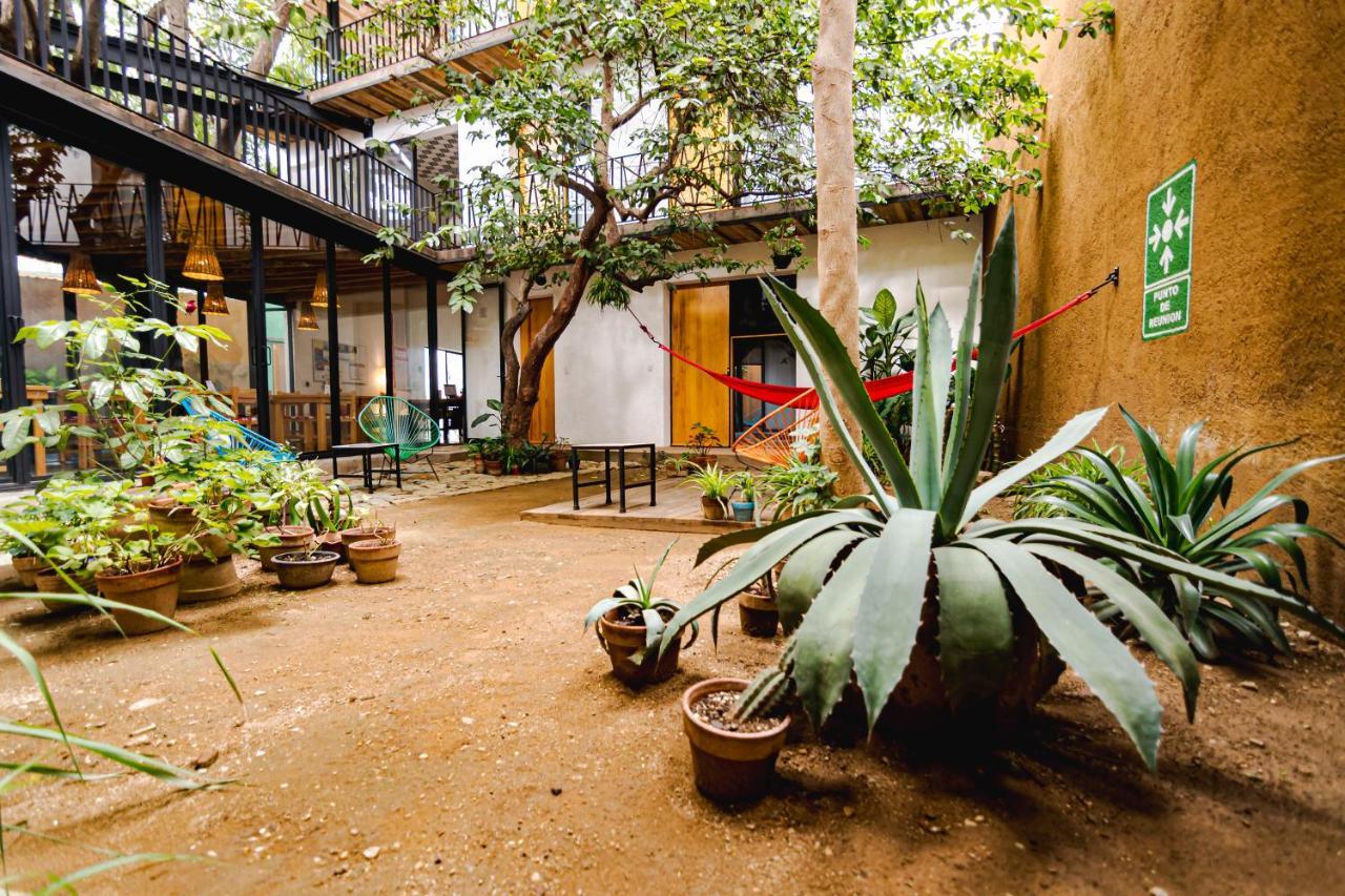 Hotel Con Corazon Oaxaca Eksteriør billede