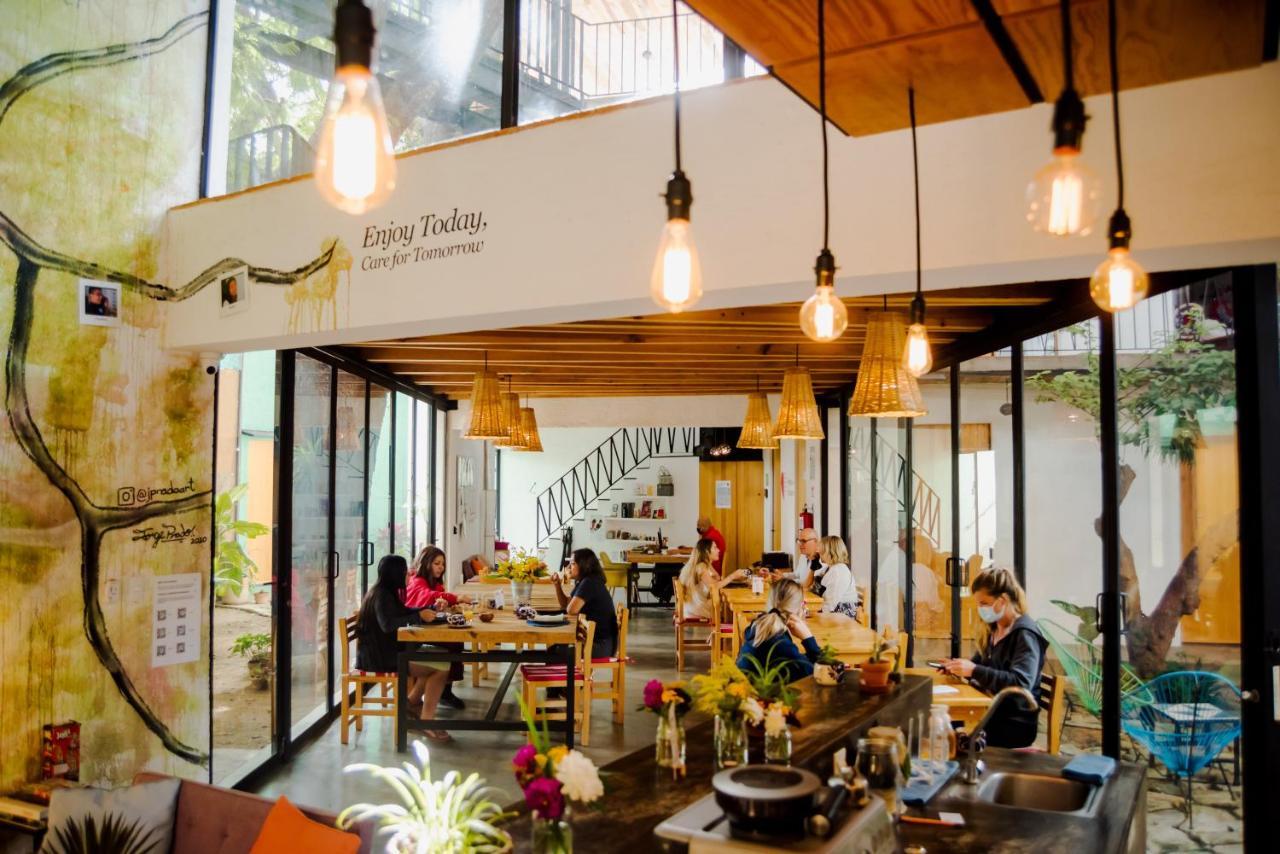 Hotel Con Corazon Oaxaca Eksteriør billede