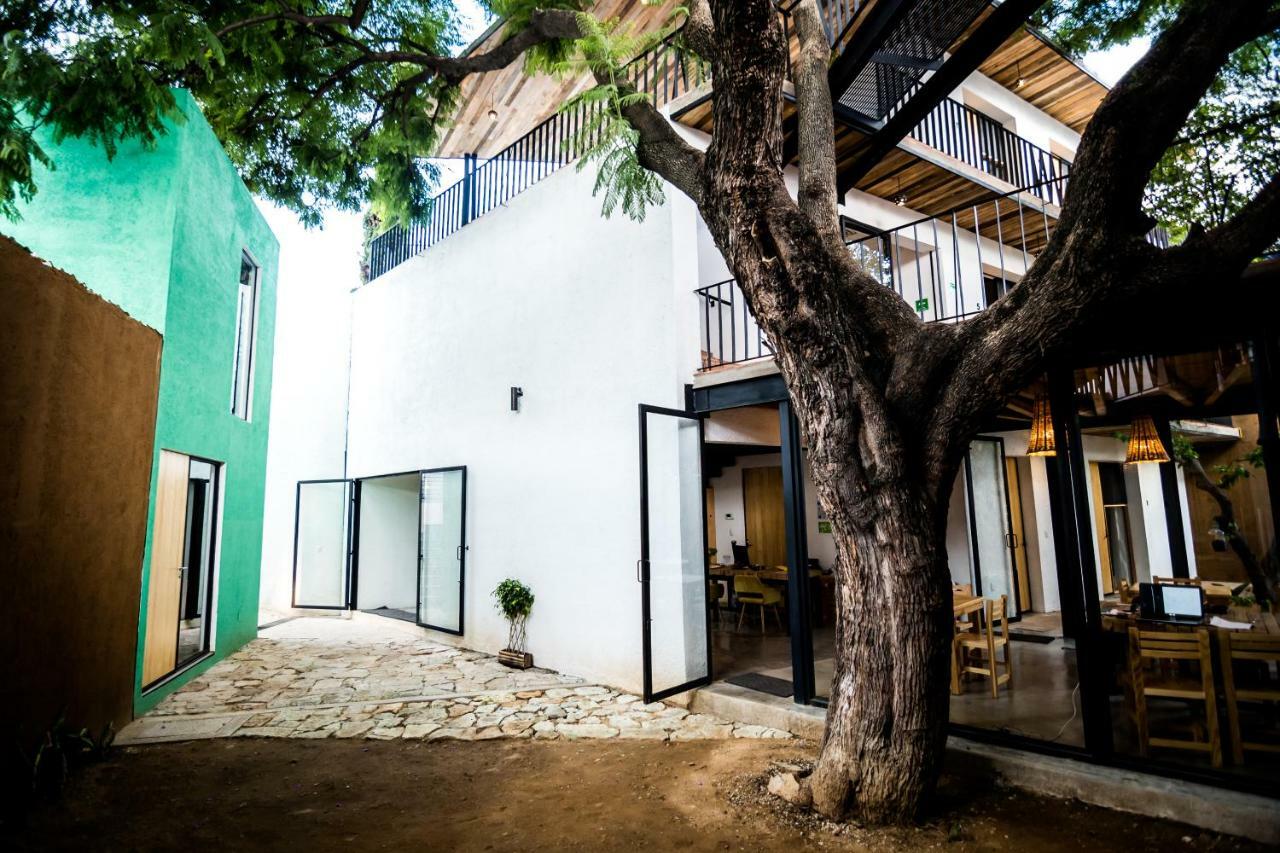 Hotel Con Corazon Oaxaca Eksteriør billede